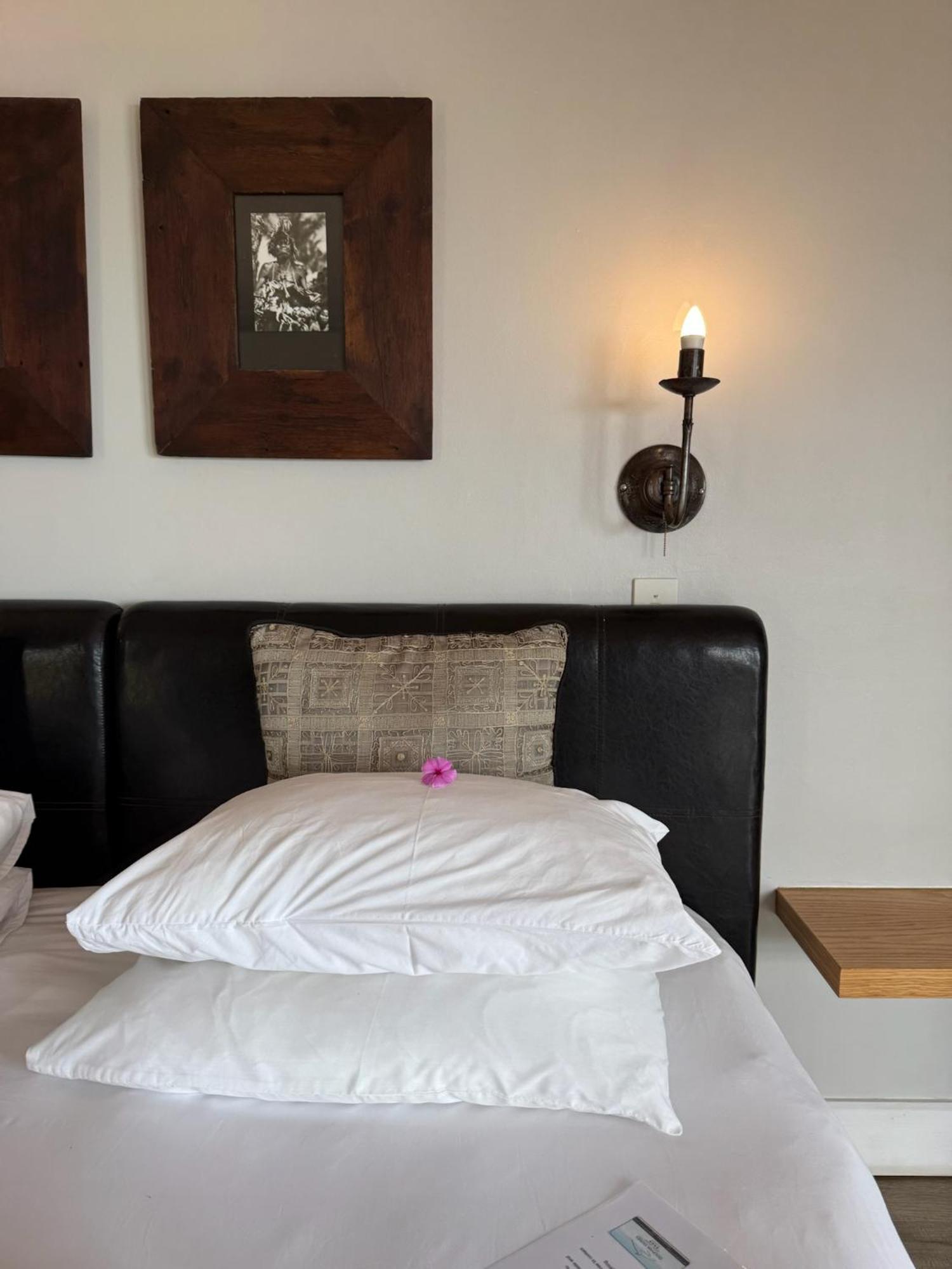 Dolphin Dunes Guesthouse Wilderness Eksteriør bilde